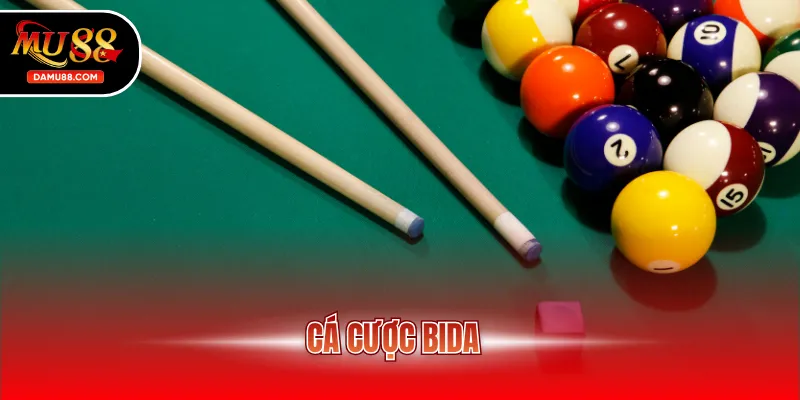 cá cược bida