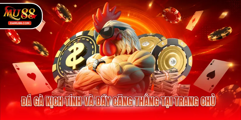 Đá gà kịch tính và đầy căng thẳng tại trang chủ