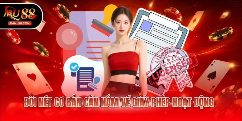 Đôi nét cơ bản cần nắm về giấy phép hoạt động