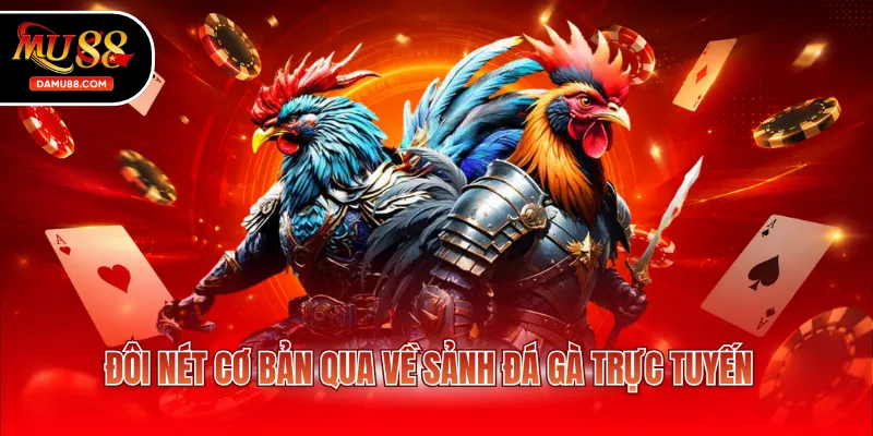 Đôi nét cơ bản qua về sảnh đá gà trực tuyến