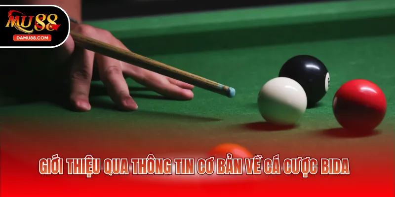 Giới thiệu qua thông tin cơ bản về cá cược bida