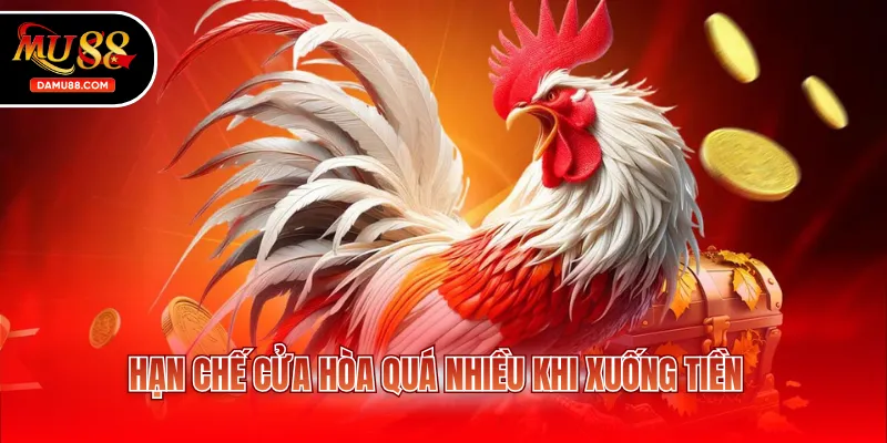 Hạn chế cửa hòa quá nhiều khi xuống tiền
