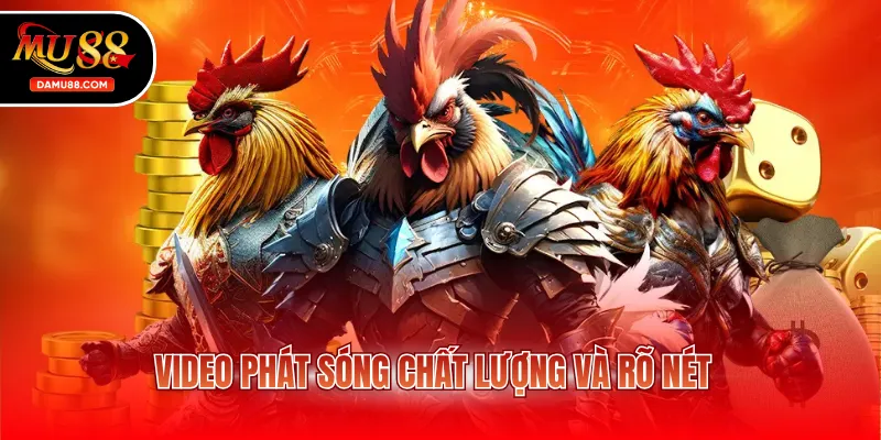 Video phát sóng chất lượng và rõ nét